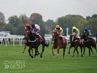 Overpriced Mixer at Kempton - 18 October 2020