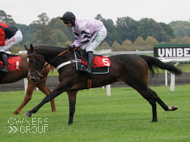 Overpriced Mixer at Kempton - 18 October 2020