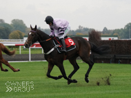 Overpriced Mixer at Kempton - 18 October 2020