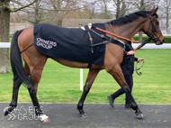 Blame It On Sally at Kempton - 22 February 2020