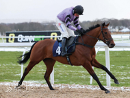 Gylo and Harry Skelton winning at Newcastle - 8 February 2021