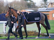 Groovy Kind at Ludlow - 2 December 2020