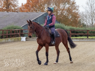 Groovy Kind at EquiPrep - 17 November 2021