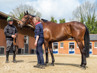 Gold Link with Emma Lavelle and jockey Joe Anderson - 29 April 2023