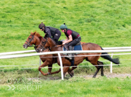 Gold Link (nearside) - 16 September 2023