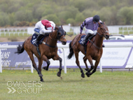 Take Your Time winning at Ffos Las - 22 April 2024