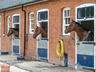 General Medrano (Elite Syndicates), Wouldubewell and Gold Link (left to right) - 18 September 2021