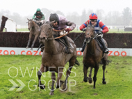 Wouldubewell winning at Fontwell - 7 December 2021