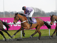 Will Carver at Kempton - 11 February 2021