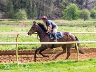 Manorbank (red hat) - 29 April 2023