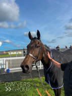 Manorbank at Ffos Las - 15 October 2023