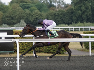 Wurlitzer at Kempton - 18 August 2020