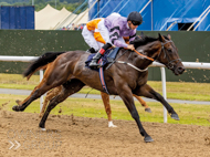 Wurlitzer at Wolverhampton - 29 July 2022