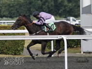 Wurlitzer at Kempton - 18 August 2020