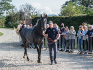 Hacker Des Places at Paul Nicholls' visit - 26 September 2021