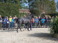 Hacker Des Places at Paul Nicholls' visit - 26 September 2021