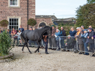 Hacker Des Places at Paul Nicholls' visit - 10 October 2021