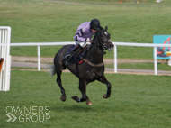 Hacker Des Places at Chepstow - 26 February 2022