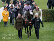 Hacker Des Places followed by Paul Nicholls and some happy owners after winning at Cheltenham - 28 January 2023