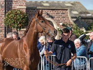 Sandalwood at Paul Nicholls' visit - 10 October 2021