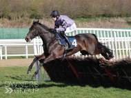 Rock Legend on his way to victory at Newcastle - 19 March 2022