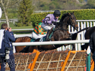 Rock Legend at Cheltenham - 13 April 2022