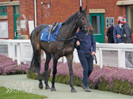 Rock Legend at Taunton - 8 April 2021