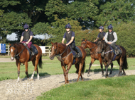 Proclaimer, Maple Jack and Bridgetown (left to right) - 9 September 2021