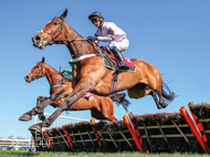 Fable winning at Haydock - 24 March 2021