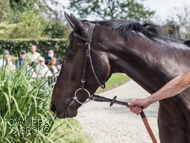 Huelgoat at Paul Nicholls' visit - 26 September 2021