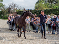 Huelgoat at Paul Nicholls' visit - 26 September 2021