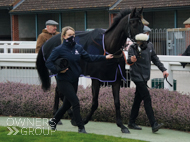 Huelgoat at Taunton - 22 January 2022