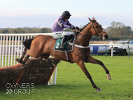 Blue Stello at Warwick - 5 November 2021