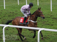 Blue Stello at Sandown - 7 March 2023