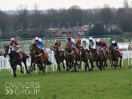 Blue Stello at Sandown - 7 March 2023