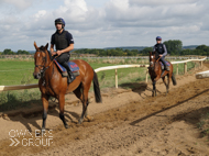 Getaway Lily Bear (right) and Contemplatemyfaith - 11 September 2021