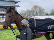 Name Of Fame at Warwick - 3 May 2021