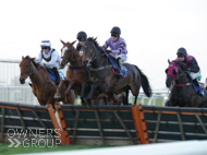 Gaulois at Wincanton - 19 February 2022