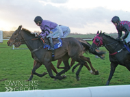 Gaulois at Wincanton - 19 February 2022