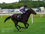 Gaulois winning at Newton Abbot - 11 May 2022