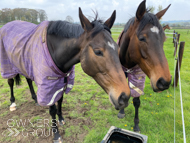 Gaulois (left) and Bond Broker - 22 April 2023