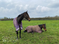 Gaulois (left) and Bond Broker - 22 April 2023