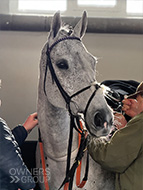 The Carpenter at Ascot - 24 November 2023