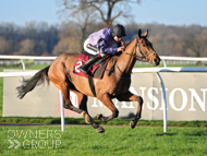 Contemplatemyfaith winning at Bangor - 13 January 2022