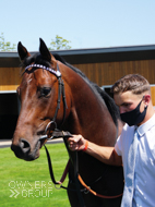 Nickleby at Newbury - 17 July 2021