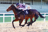 Nickleby winning at Southwell - 27 January 2022