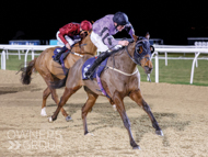 Nickleby winning at Newcastle - 3 February 2023