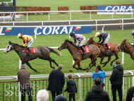 Makin'yourmindup at Kempton - 14 January 2023