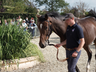 Makin'yourmindup at Paul Nicholls' visit - 26 September 2021