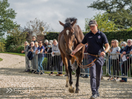 Makin'yourmindup at Paul Nicholls' visit - 26 September 2021